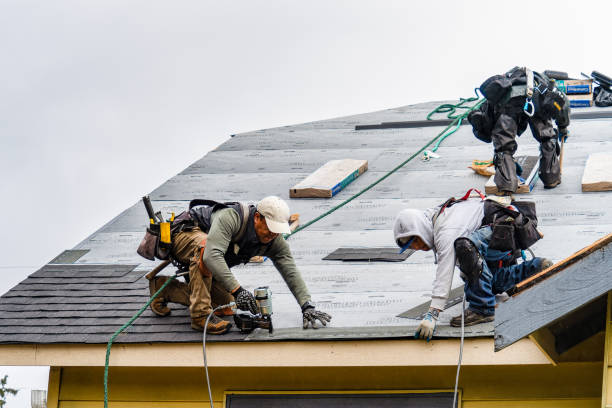 Professional Roofing technician working in Roxbury, MA
